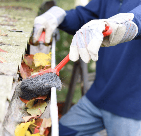 Gutter Debris Removals